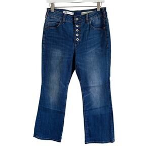 Anthropologie‎ Pilcro Blue Button Fly High-Rise Flare Jeans Size 29